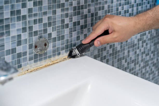 Best Residential Mold Removal  in Carefree, AZ